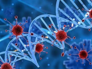 stem cell