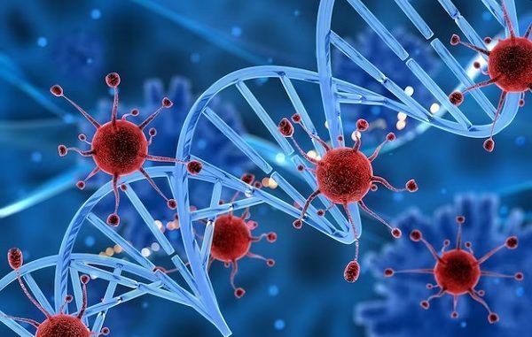 stem cell