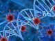 stem cell