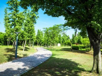 parks in Mexico City