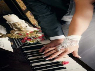 Wedding Bands In Mexico City