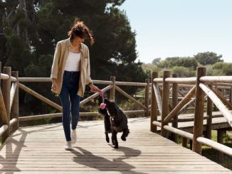 pet friendly places in Mexico