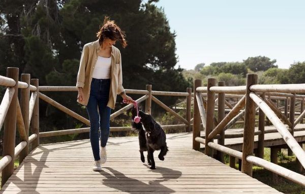 pet friendly places in Mexico