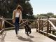pet friendly places in Mexico