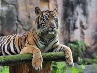 best zoos in Mexico City