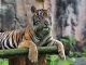 best zoos in Mexico City