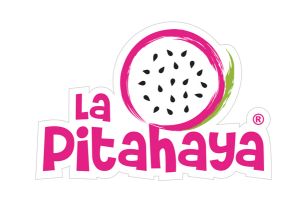 La Pitahaya Vegana vegan restaurant in mexico city