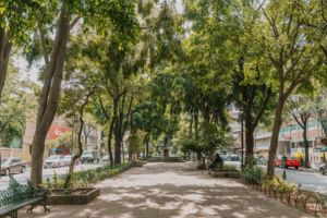 La Roma Norte best neighbourhood in mexico city