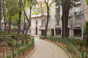 Condesa neighborhood place to Live in mexico city