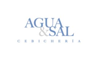 agua & sal cebicheria mexico