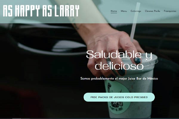As happy as larry page