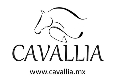 Cavallia logo