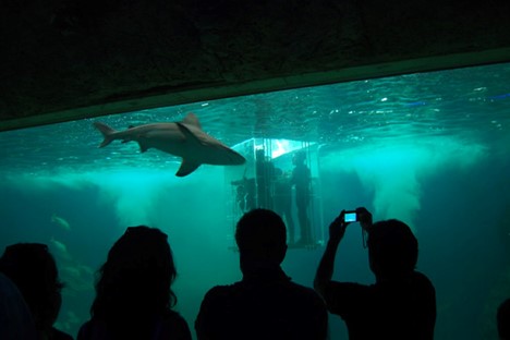 Guadalajara zoo aquarium