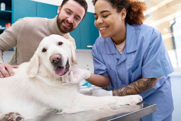 Doctor medium shot checking dog smiling - veterinarians in mexico