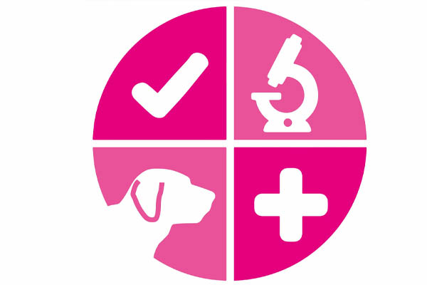 Checkdog logo