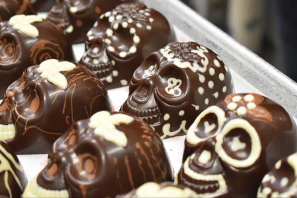 Chameleon chocolate skulls