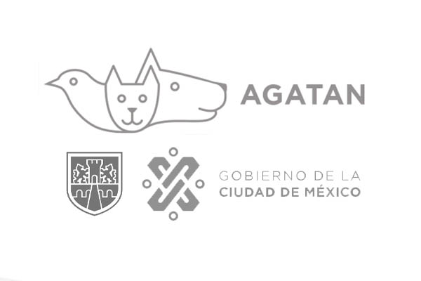 Veterinary hospital of mexico city