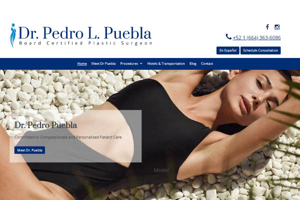 Dr. Pedro Puebla page