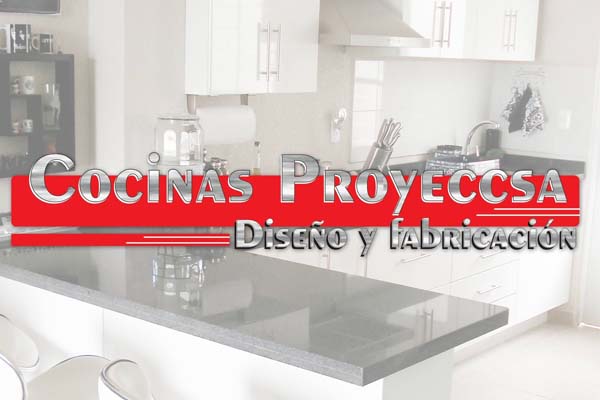 Proyeccsa logo