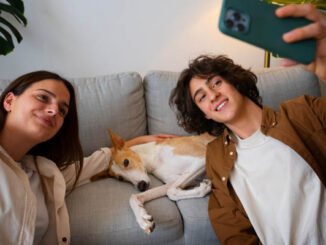 The 10 Best Pet-Friendly Hotels in Mexico