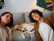 The 10 Best Pet-Friendly Hotels in Mexico