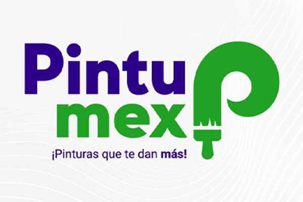 Pintumex logo