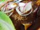 The 10 best places to eat mole in Mexico